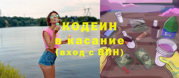 индика Алзамай