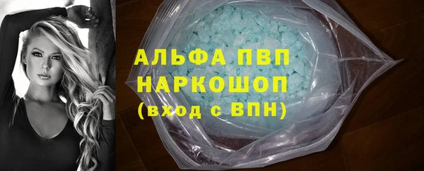 индика Алзамай