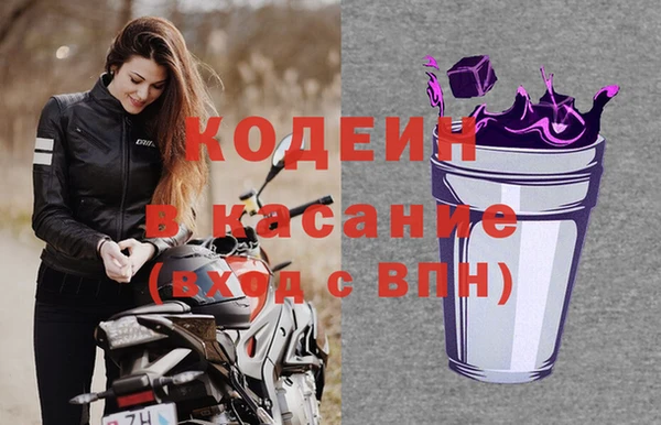 индика Алзамай