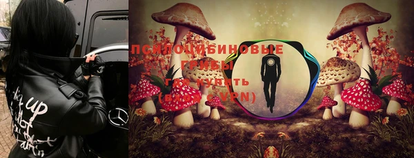 индика Алзамай
