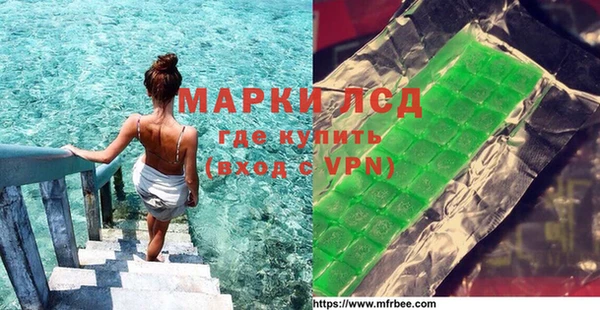 индика Алзамай