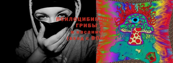 индика Алзамай