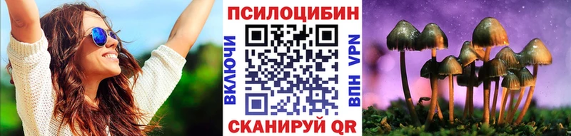 Псилоцибиновые грибы прущие грибы  кракен ссылки  Хадыженск  продажа наркотиков 